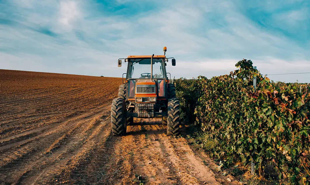 Тепличный комплекс Томск, действующий проект AGROVELES